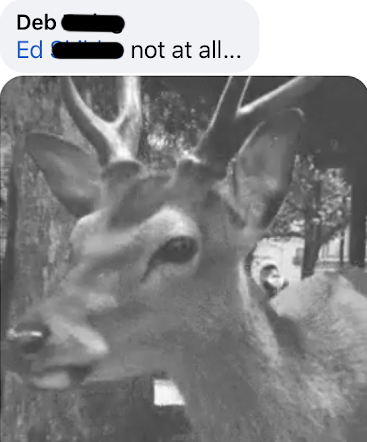 Comment: Deb: Ed not at all... + black and white image of buck's head with horns